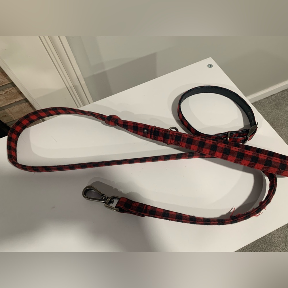 Bond & Co puppy collar and leash